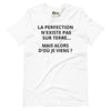 T-shirt unisexe La Perfection N'existe Pas Sur Terre (Lettrage foncé)